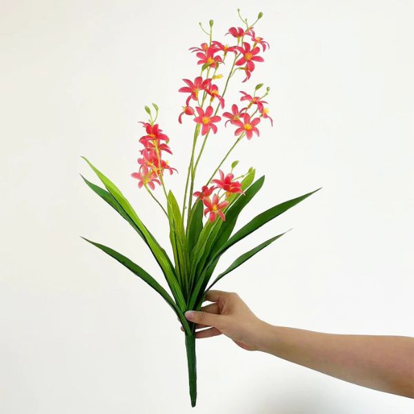 orquideas