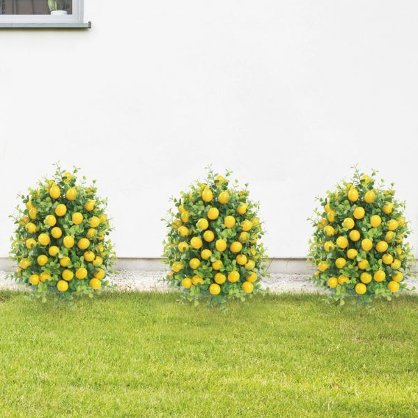 jardim