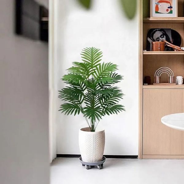 plantas
